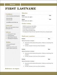free_cv_template_290