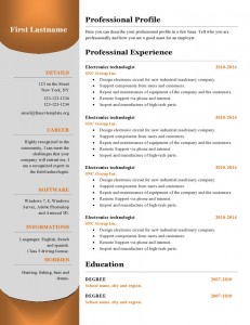 free_cv_resume_template_384-page0001