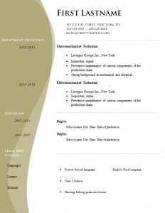 free_high_quality_cv_template_530