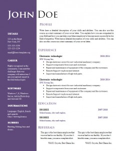 cv_resume_word_template_550