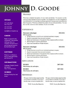 cv_resume_word_template_704