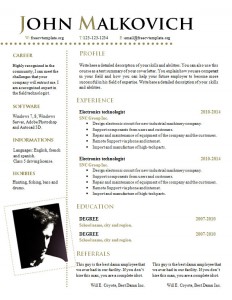 cv_resume_word_template_812