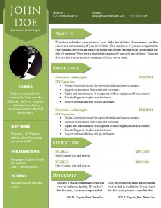 cv_resume_word_template_906